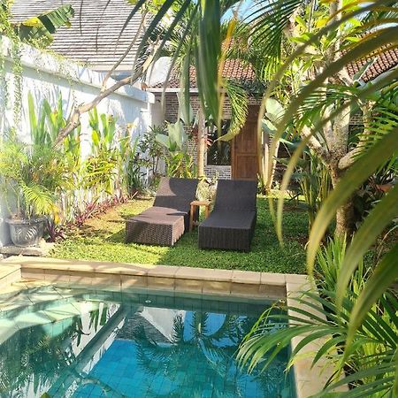 بيت شباب The Jungle House تْشانغو المظهر الخارجي الصورة