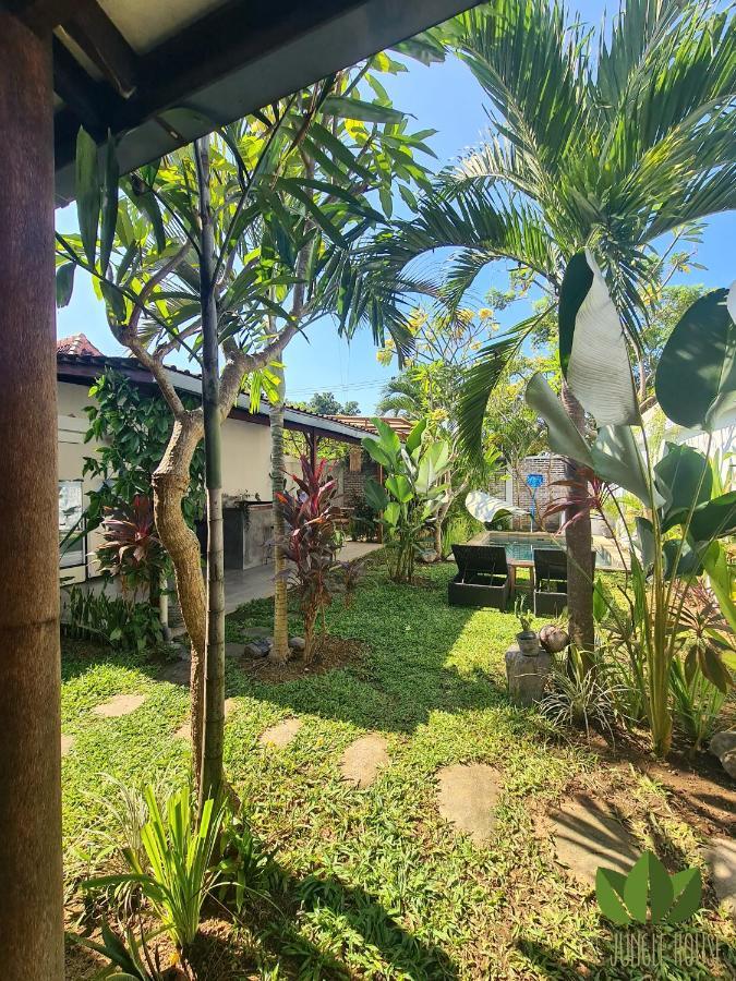 بيت شباب The Jungle House تْشانغو المظهر الخارجي الصورة