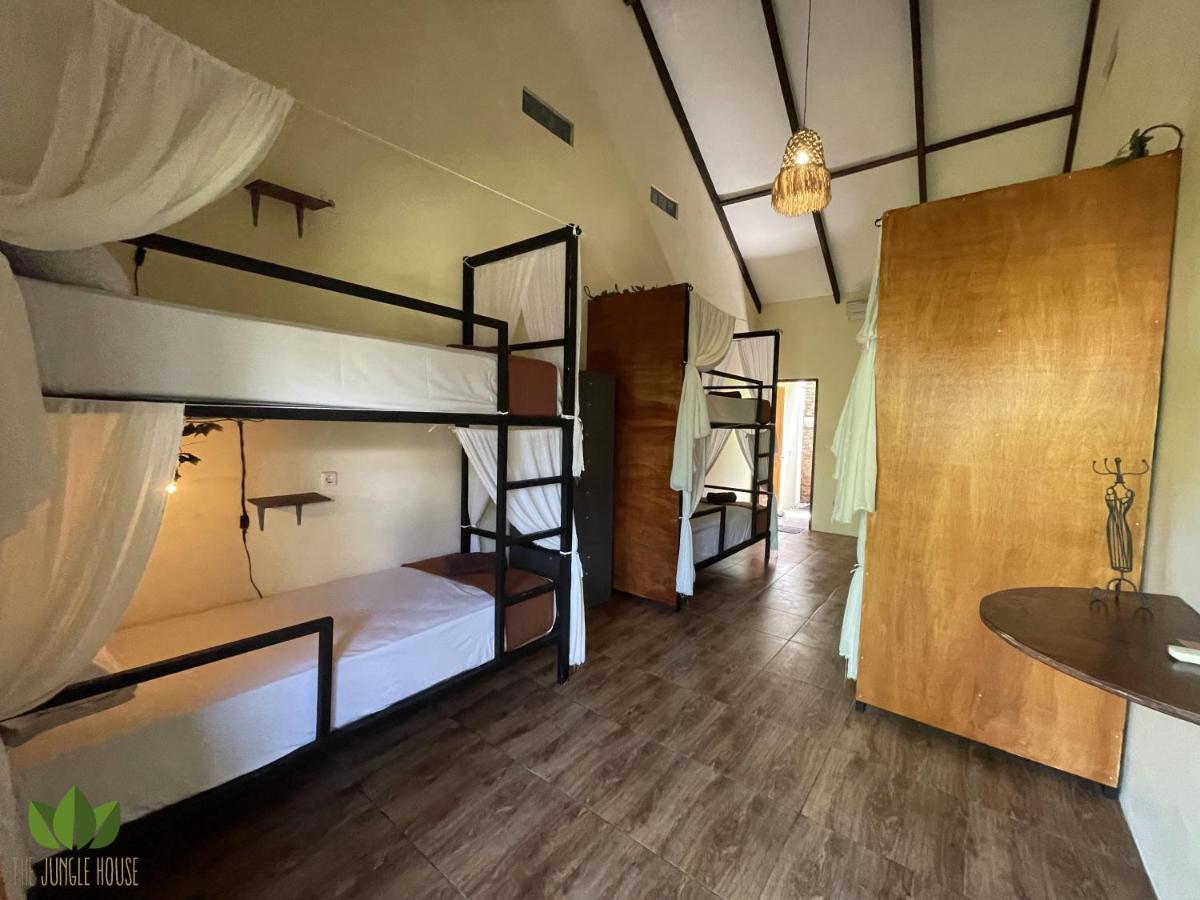 بيت شباب The Jungle House تْشانغو المظهر الخارجي الصورة