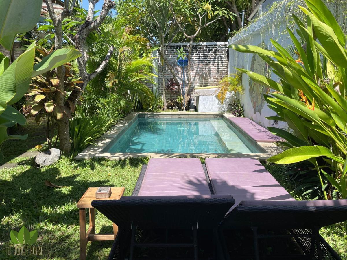 بيت شباب The Jungle House تْشانغو المظهر الخارجي الصورة