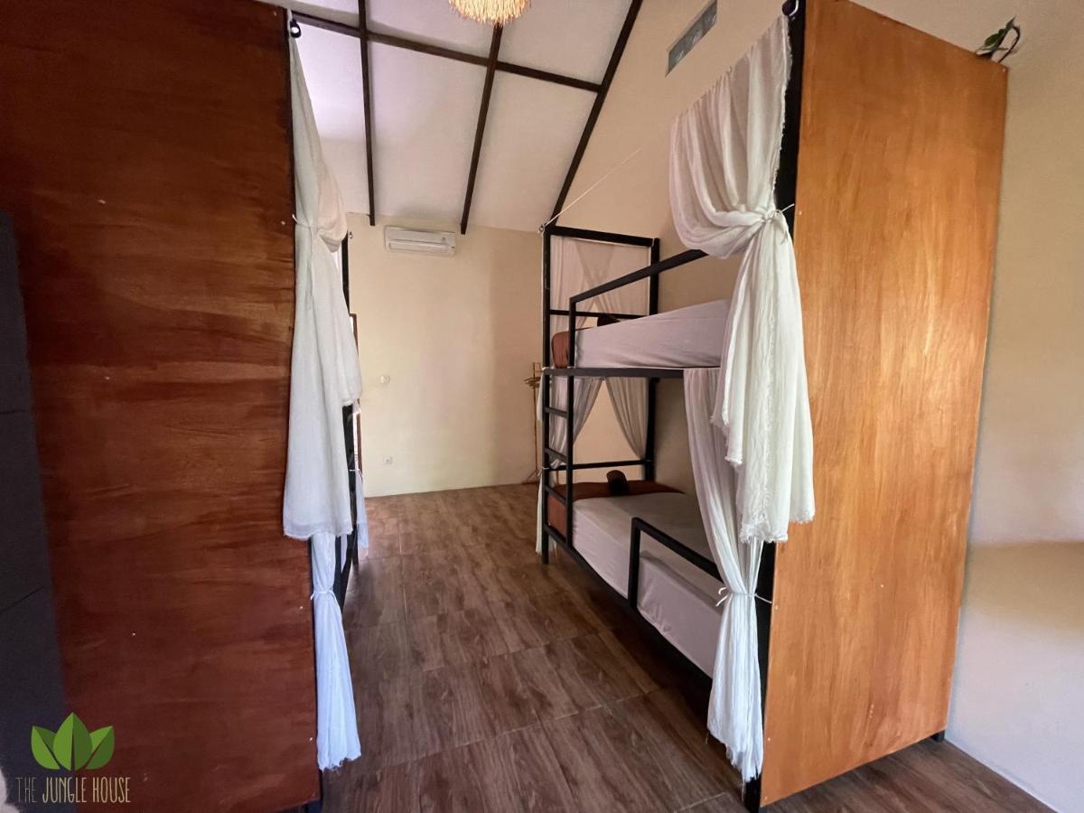 بيت شباب The Jungle House تْشانغو المظهر الخارجي الصورة