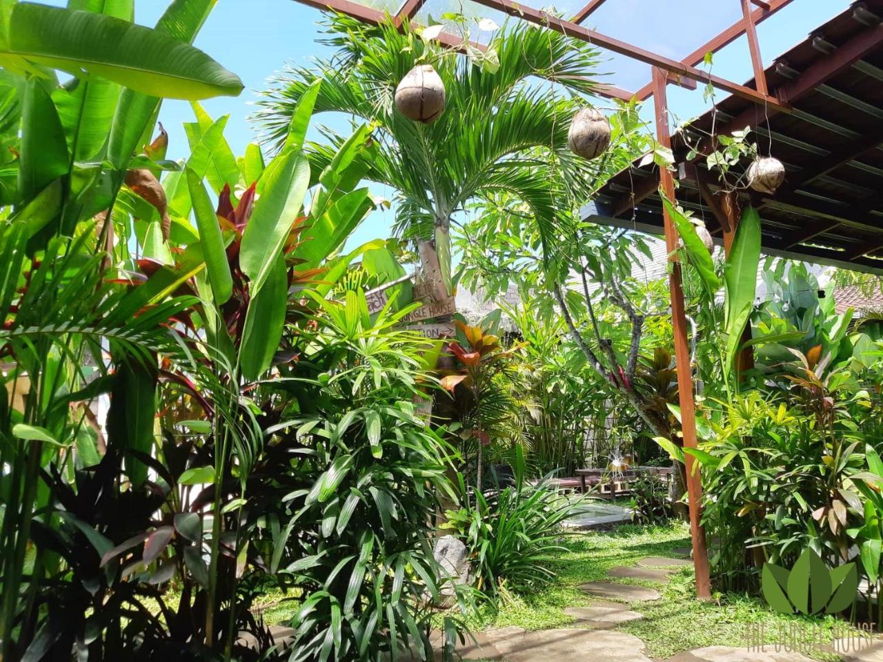 بيت شباب The Jungle House تْشانغو المظهر الخارجي الصورة